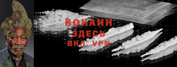 сатива Верея