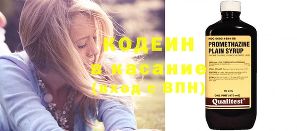 сатива Верея
