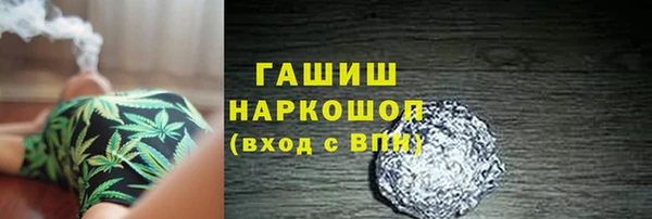 сатива Верея
