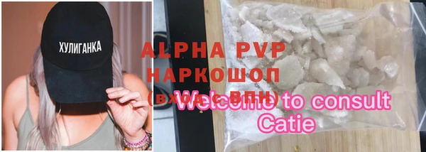 прущие крисы Бородино