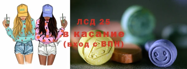 сатива Верея