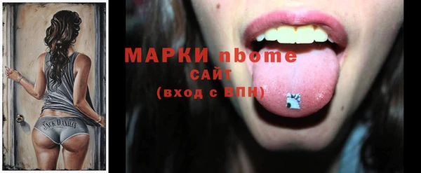сатива Верея
