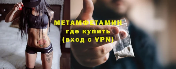сатива Верея