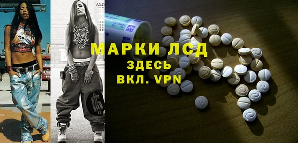 сатива Верея