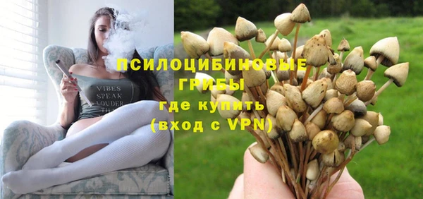 сатива Верея