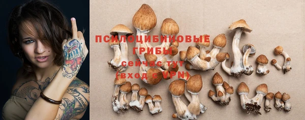 сатива Верея