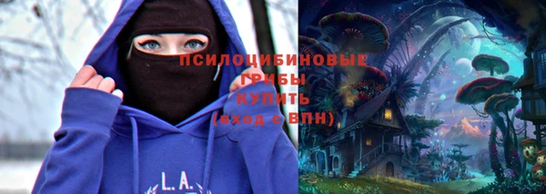 сатива Верея