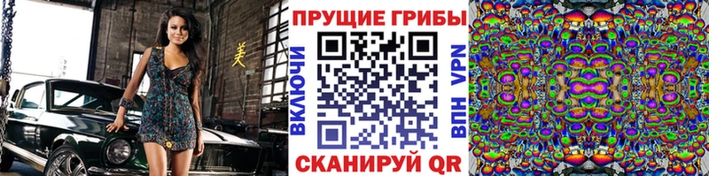 Галлюциногенные грибы GOLDEN TEACHER  даркнет сайт  Губкин 