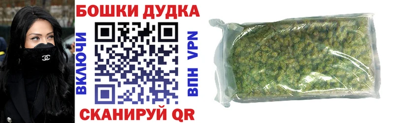 даркнет телеграм  Губкин  Бошки марихуана планчик 